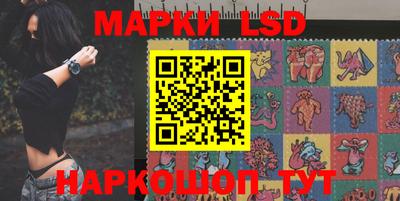 стаф Нальчик
