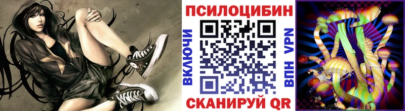 KRAKEN зеркало Соль-Илецк Галлюциногенные грибы Psilocybe закладка