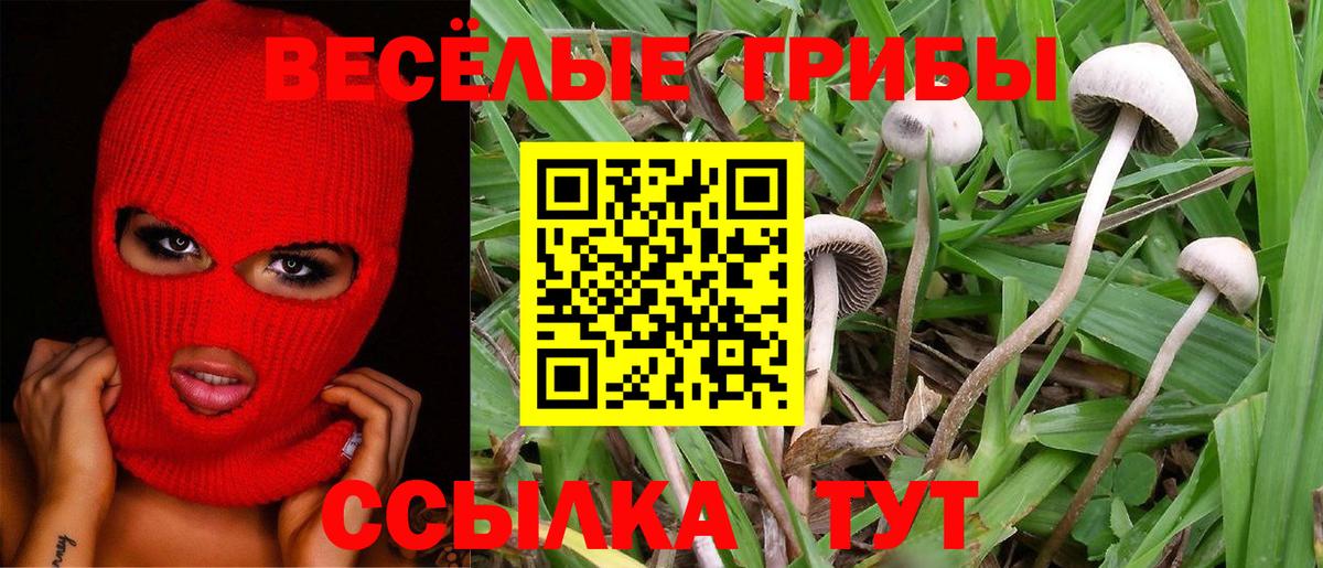 Псилоцибиновые грибы Magic Shrooms  Галлюциногенные грибы Psilocybine cubensis  Соль-Илецк  Вход с VPN 